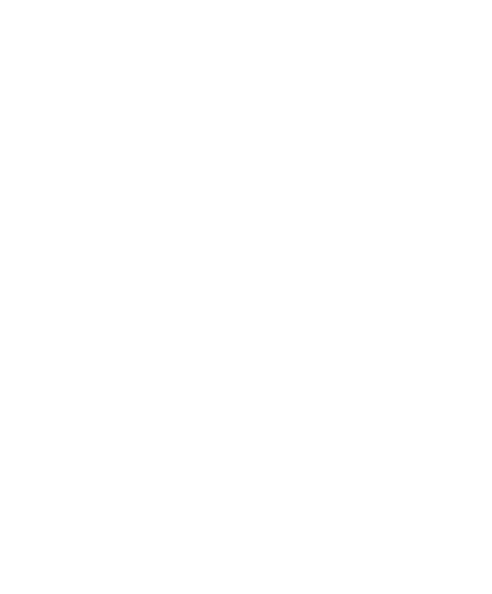 DoubleFox Logo